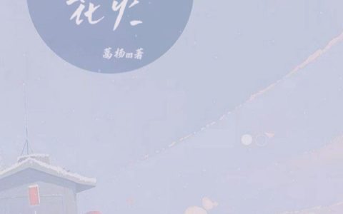 乔忧贺止榆《灿烂花火》_乔忧贺止榆全集免费在线阅读
