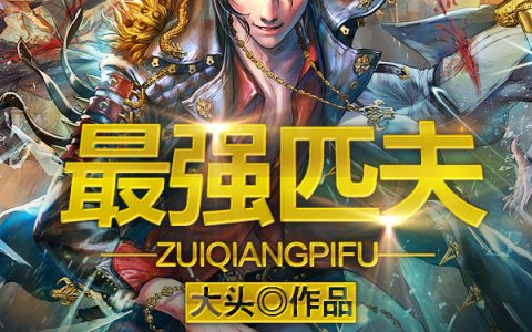 李时张小琳《最强匹夫》_李时张小琳热门小说