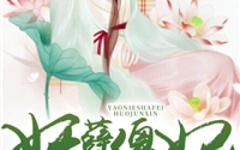 妖孽傻妃惑君心(苏小北苏小姐)_《妖孽傻妃惑君心》最新章节阅读