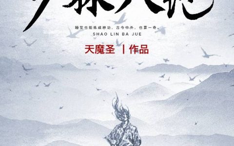 我们的致命情劫(秦致秦桑)全本阅读_《我们的致命情劫》完整版免费在线阅读