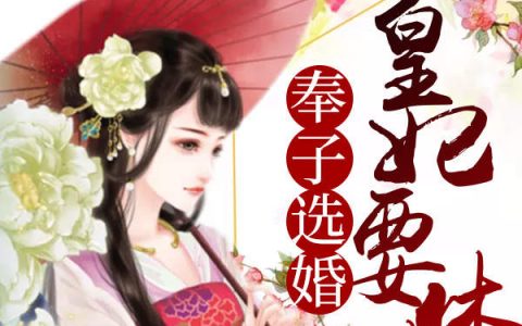 (奉子选婚：皇妃要休夫)小蓝龙黑龙全本免费在线阅读_(奉子选婚：皇妃要休夫)全章节免费在线阅读