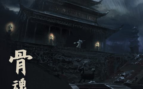 《骨魂》赵顺利徐小娅_骨魂完整版免费在线阅读