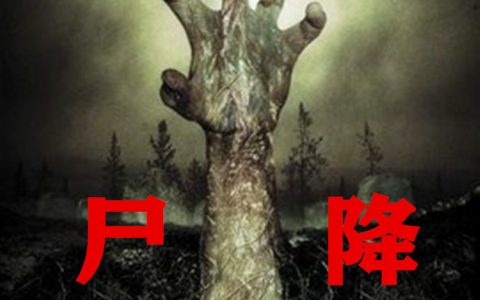 尸降(陈钰排骨缺肉)_《尸降》完整版在线阅读