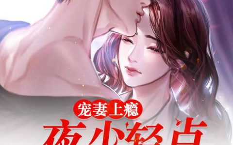 宠妻上瘾：夜少轻点，别太深(沈嘉萧肃)_沈嘉萧肃完结版在线阅读