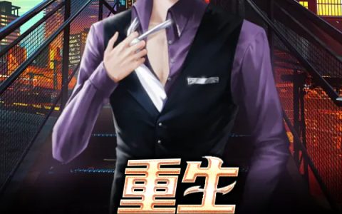 (陆青云林若岚)重生：风起2000完结版在线阅读_(重生：风起2000)完结版免费阅读