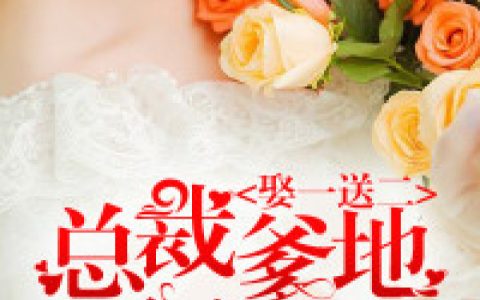 娶一送二：总裁爹地要加油(宋越珩陆雪)完结版免费阅读_《娶一送二：总裁爹地要加油》全集免费阅读