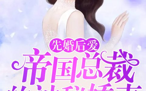 《先婚后爱：帝国总裁的神秘娇妻》沈毅行婉儿全本阅读_《先婚后爱：帝国总裁的神秘娇妻》完结版在线阅读