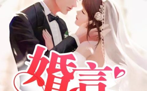 《婚言难尽》李涛林宁全集在线阅读_李涛林宁最新章节在线阅读