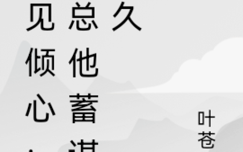 纪月叶沈停云《一见倾心：沈总他蓄谋已久》_(纪月叶沈停云)全本免费在线阅读
