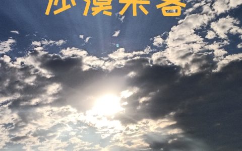 不吾芹雅《沙漠来客》_沙漠来客完整版免费在线阅读