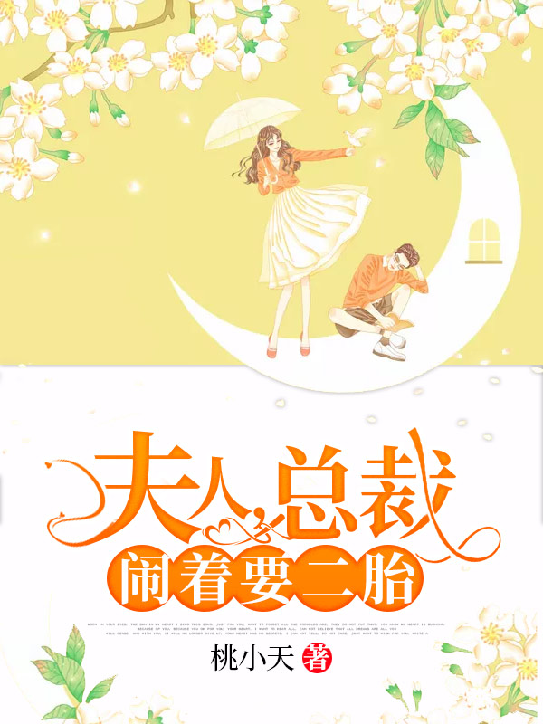 夫人,总裁闹着要二胎