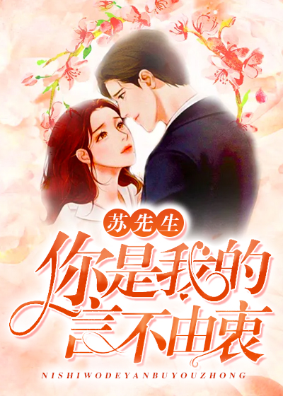 苏先生,你是我的言不由衷