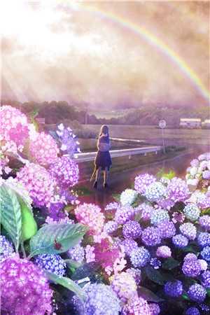 杨洛柳雨薇小说全文免费阅读