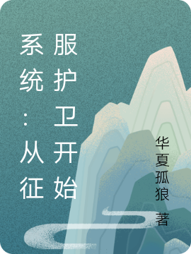 系统:从征服护卫开始
