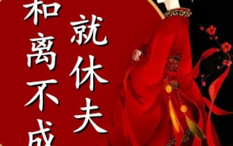 陆明熹盛言瑄《和离不成就休夫》完整版阅读_陆明熹盛言瑄全文阅读
