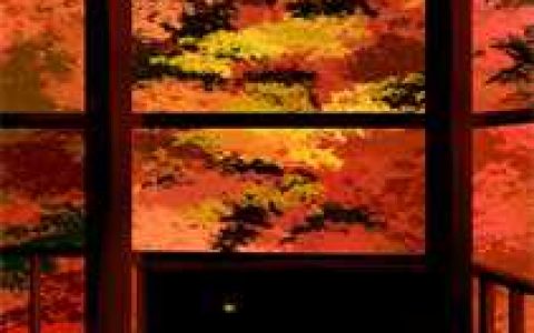 《怀孕的村花小说》陆骁沈欣_怀孕的村花小说完结版免费阅读