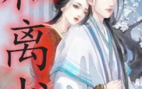 (和离书小说)叶珑月封卿夜_(叶珑月封卿夜)热门小说
