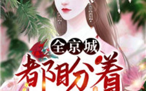 黑棍商夏《全京城都盼着我被休》完结版在线阅读_黑棍商夏全章节免费阅读