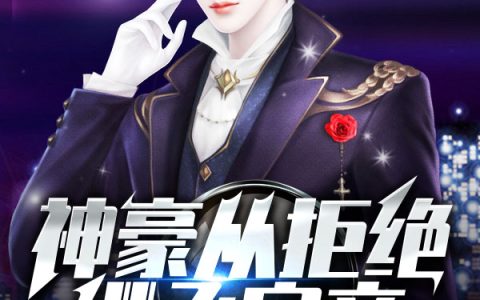 《神豪从拒绝继承家产开始》秦天林晓芸_(秦天林晓芸)全章节免费阅读