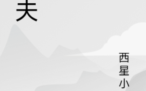 苏末西星小二《拳夫》_苏末西星小二全集免费在线阅读