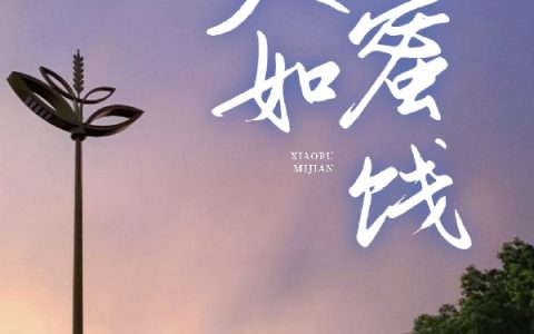 韩婷江帆泽《笑如蜜饯》_笑如蜜饯完整版免费阅读