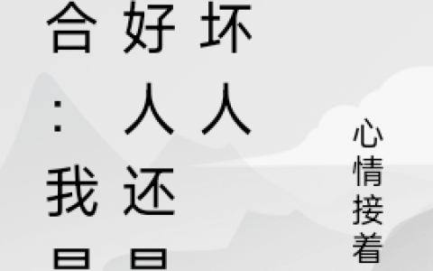 (综合：我是个好人还是个坏人)黄夜无_《综合：我是个好人还是个坏人》全章节免费在线阅读
