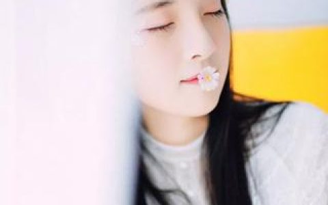 怀崽后，霍总他主动撩上门要复婚(霍圳寒苏千繁)完结版阅读_(霍圳寒苏千繁)最新章节在线阅读