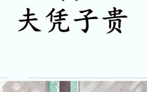 江瞳司穆寒(司少夫凭子贵)_司少夫凭子贵全章节免费在线阅读