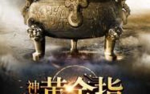 何冲李航(神级黄金指)_(神级黄金指)全章节免费在线阅读