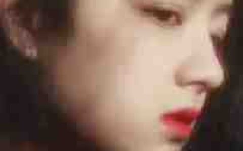 《匪吾所爱小说免费》林云溪喵喵_匪吾所爱小说免费完整版免费在线阅读