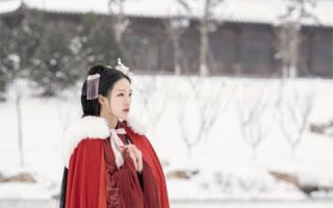 (封弈叶芷音)无念心上人完结版在线阅读_(无念心上人)完结版免费阅读