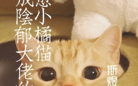 夏栩闵行昀(穿成阴郁大佬的治愈小橘猫)_夏栩闵行昀全文免费在线阅读