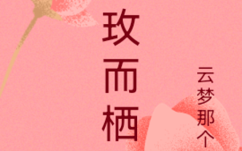 择玫而栖(柳希玫宋泽易)全文阅读_(择玫而栖)全章节在线阅读
