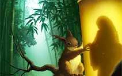 朱宇洪承畴《重振大明》_(朱宇洪承畴)全本在线阅读