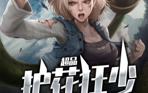 萧风楚云溪《超品护花狂少》完整版阅读_萧风楚云溪全文阅读