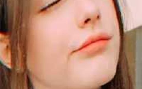 (城破的那日)陆鹤沈西棠_陆鹤沈西棠全本阅读