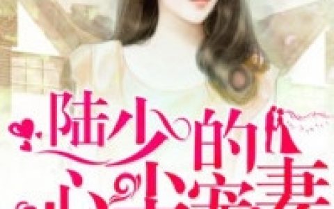 《独家蜜婚：陆少的心尖宠妻》莫暖陆琛_独家蜜婚：陆少的心尖宠妻最新章节在线阅读