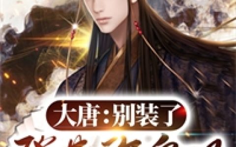 (大唐别装了登基称皇吧)李秋李世民_《大唐别装了登基称皇吧》全章节免费在线阅读