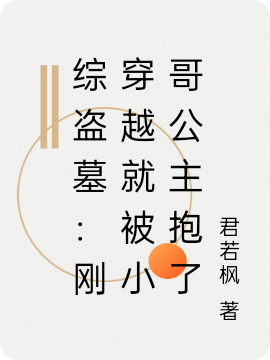 综盗墓:刚穿越就被小哥公主抱了