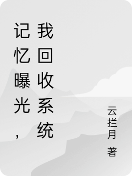 记忆曝光,我回收系统