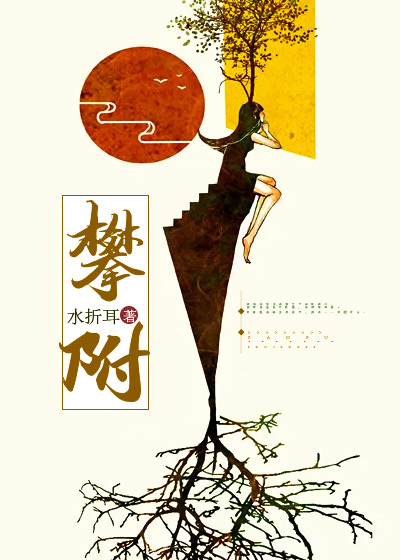 夏青柚傅在宇