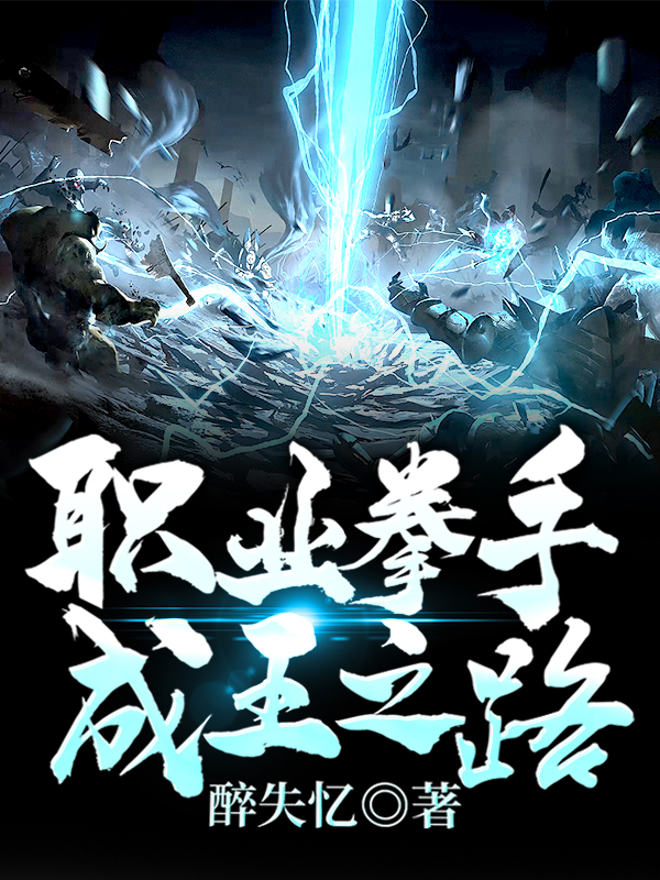 职业拳手成王之路