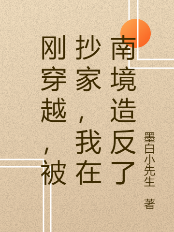 刚穿越,被抄家,我在南境造反了