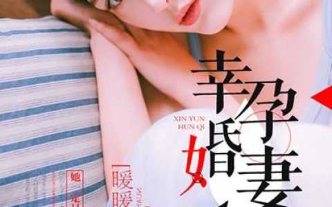 《幸孕婚妻1+1》颜晴颜晴颜全本阅读_《幸孕婚妻1+1》完结版在线阅读