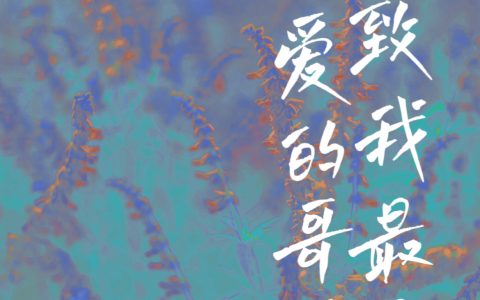 娜塔丽盖勒特《致我最最亲爱的哥哥》完结版在线阅读_娜塔丽盖勒特全章节免费阅读
