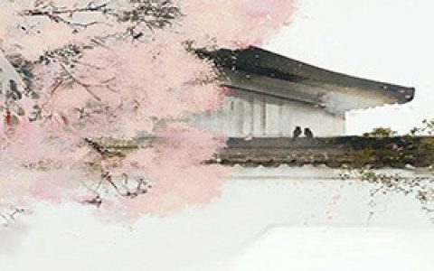 盛苏苏凤云祈《医妃她带着几个崽杀回来了》全集在线阅读_(医妃她带着几个崽杀回来了)全集免费阅读