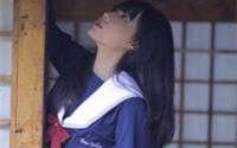 (辛无恨叶洛)大幽朝流水的皇上_大幽朝流水的皇上完结版免费在线阅读
