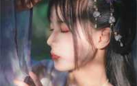刘子瀛阿瀛(我曾背着他走过一整个雪夜。他那时不过十七岁)_《我曾背着他走过一整个雪夜。他那时不过十七岁》完整版阅读