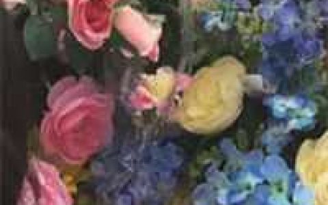 (夏浅浅穆远)穆远不是人我图他美貌完结版免费阅读