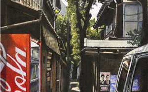 薄旭安黎妍妍《我是上海医院的护士》_我是上海医院的护士全章节在线阅读
